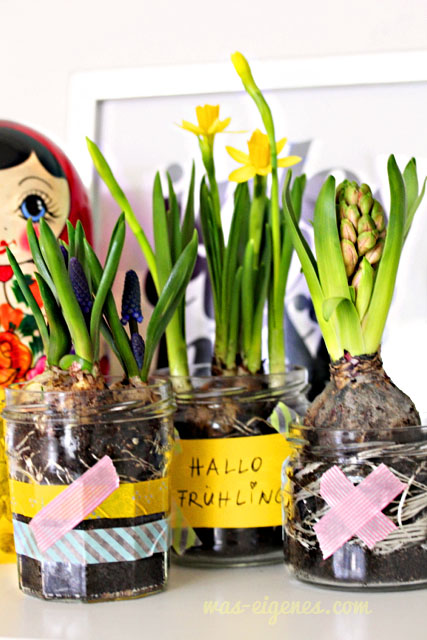 Hallo Frühling | Osterglocken im Honigglas | waseigenes.com DIY Blog