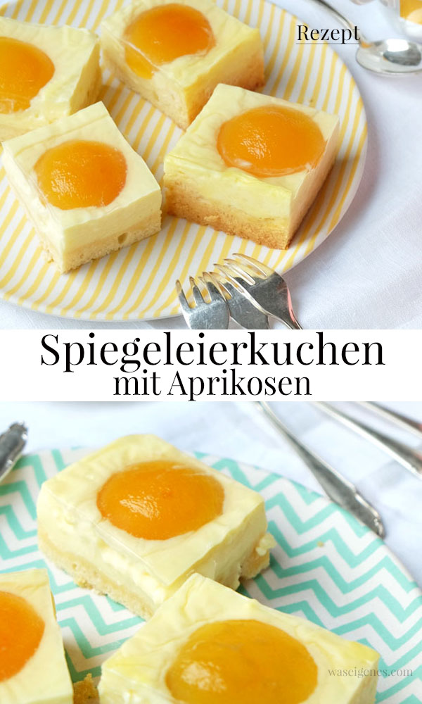 Rezept Spiegeleierkuchen mit Aprikosen | Aprikosen Quarkkuchen | waseigenes.com 
