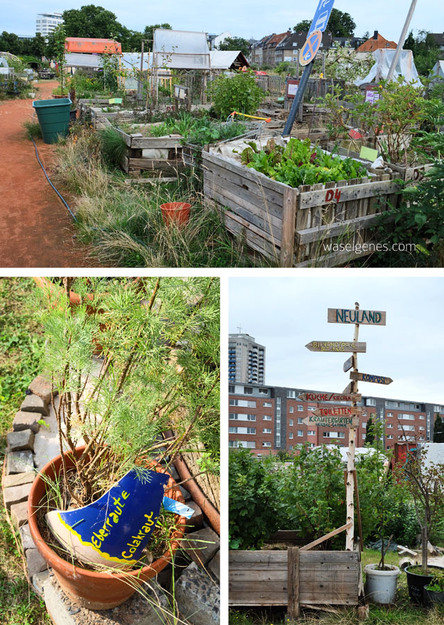 Regionalitaet-Nachhaltigkeit-waseigenes.com-NeuLand-urban-gardening-Koeln 