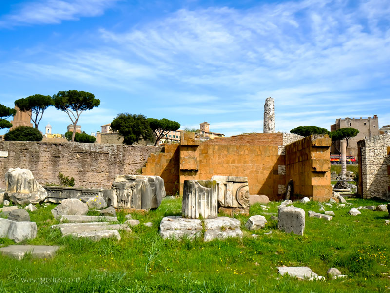 Rom | Kolosseum & Forum Romanum | Reisebericht | waseigenes.com