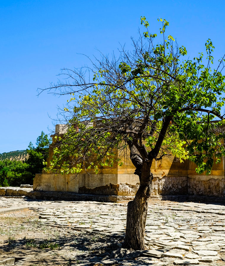 Der Palast von Knossos | Kreta | waseigenes.com