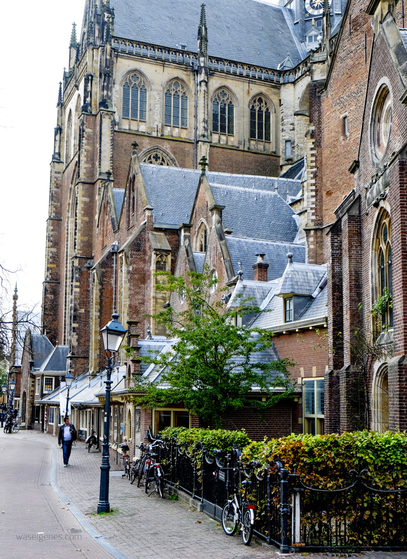 Holland: Ein Vormittag in Haarlem | Netherlands, Hollandurlaub, City Trip, Ausflug | waseigenes.com