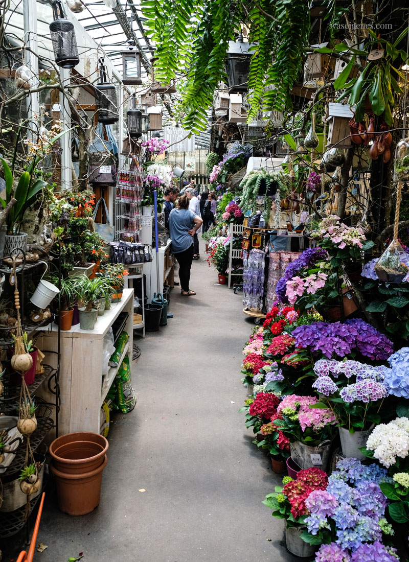 Paris Blumenmarkt | waseigenes.com