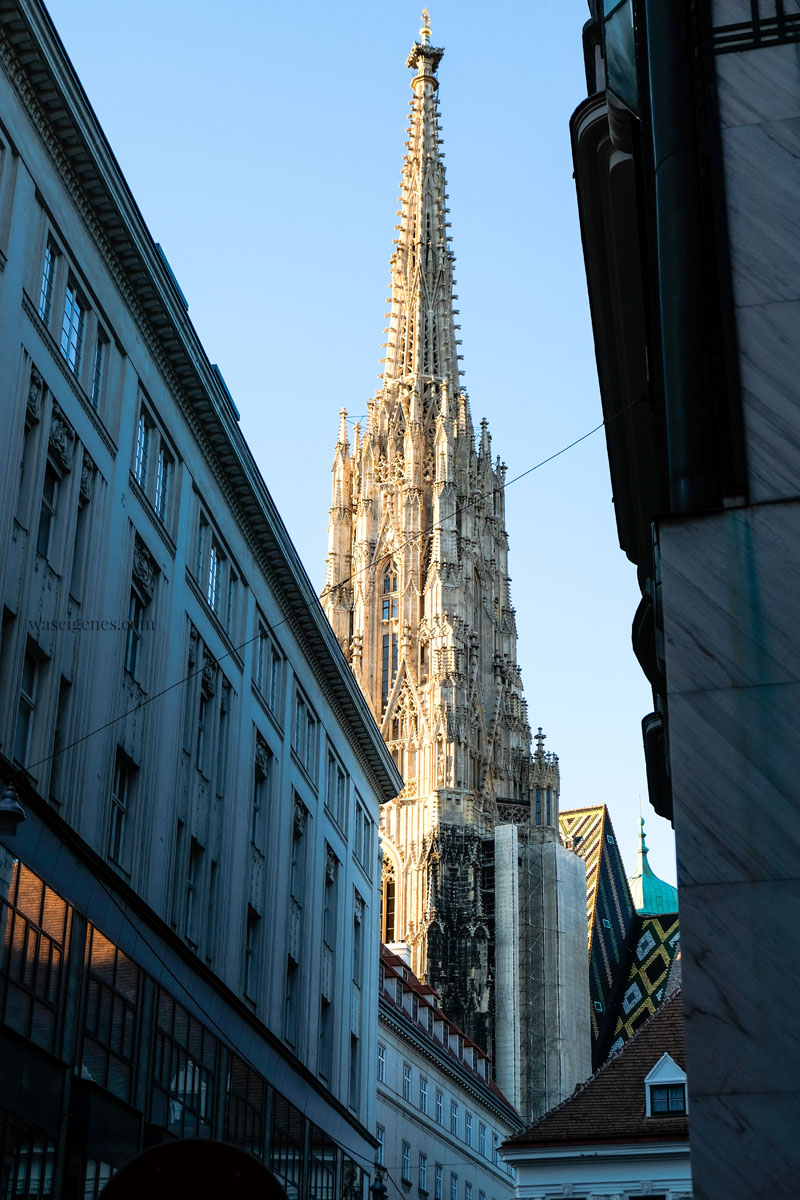 Sightseeing Wochenende: Wien | waseigenes.com | Stephansdom