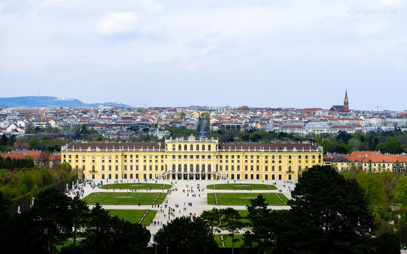 Sightseeing Wochenende: Wien | waseigenes.com | Schönbrunn