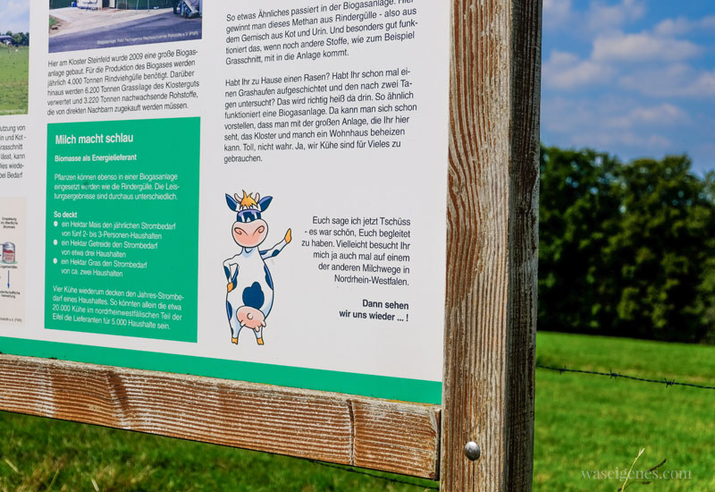 Info Tafel rund um das Thema Milch und die Kuh - Der Milchwanderweg in der Eifel, waseigenes.com