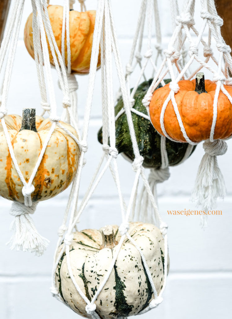 DIY Kürbis Makramee | Kürbis Ampeln mit Baumwollgarn basteln | Style your Kürbis - Herbstliche Kürbis Deko | waseigenes.com