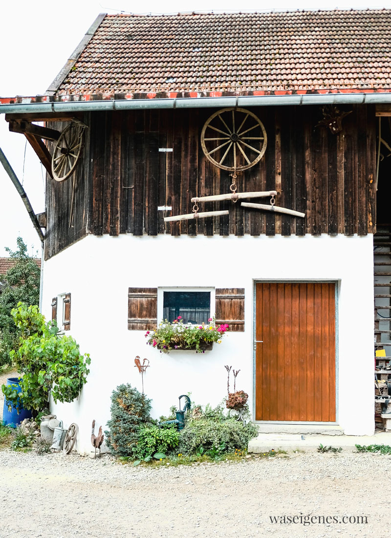 Bio Bauernhof der Familie Hefele in Ainhofen {München} - Soja Anbau in Deutschland | waseigenes.com