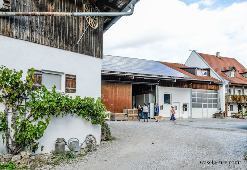 Bio Bauernhof der Familie Hefele in Ainhofen {München} - Soja Anbau in Deutschland | waseigenes.com