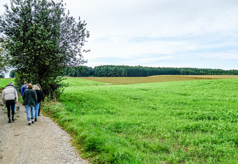 Auf dem Weg zum Soja Feld in Bayern | Soja Anbau in Deutschland | waseigenes.com