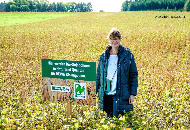 Bine Güllich - waseigenes.com | Soja Anbau in Deutschland {Bayern} 