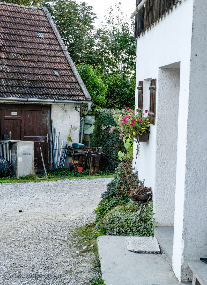 Bio Bauernhof der Familie Hefele in Ainhofen {München} - Soja Anbau in Deutschland | waseigenes.com