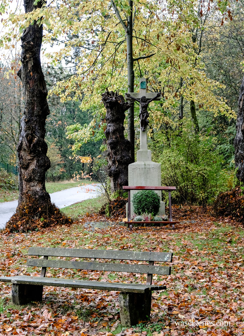 Milchwanderweg-Wipperfuerth-NRW