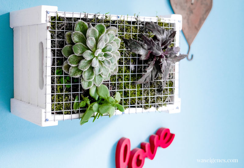 DIY vertical garden | Hängende Gärten | Wanddeko mit Pflanzen selber machen | waseigenes.com