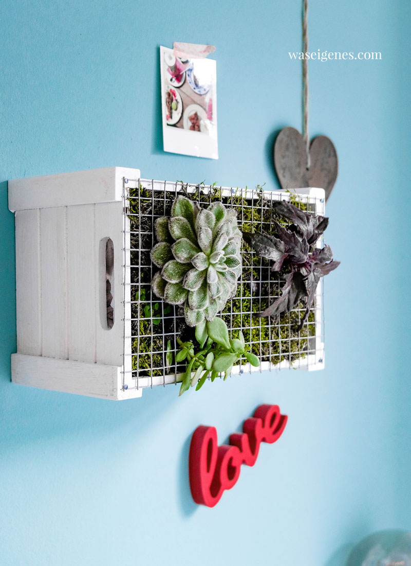 DIY vertical garden | Hängende Gärten | Wanddeko mit Pflanzen selber machen | waseigenes.com