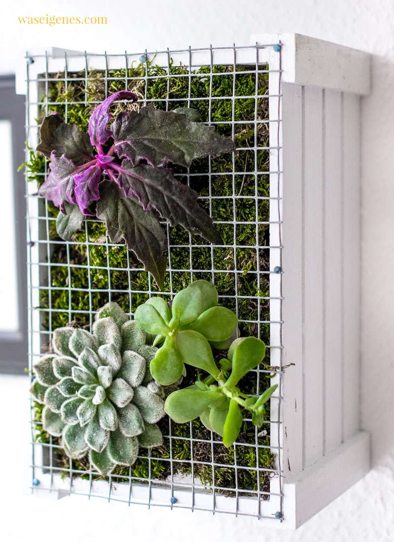 DIY vertical garden | Hängende Gärten | Wanddeko mit Pflanzen selber machen | waseigenes.com