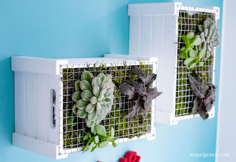 DIY vertical garden | Hängende Gärten | Wanddeko mit Pflanzen selber machen | waseigenes.com