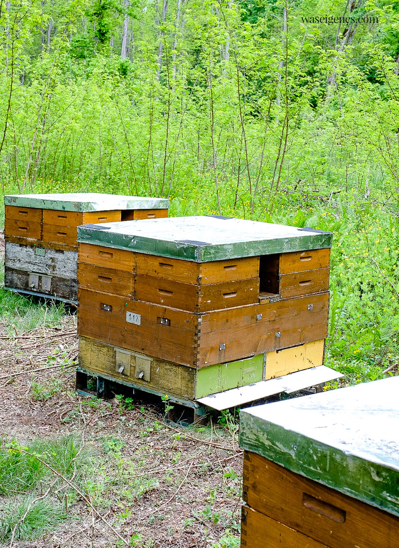 Bienenkisten, Bienenstöcke - der REWE Bio Blütenhonig | waseigenes.com