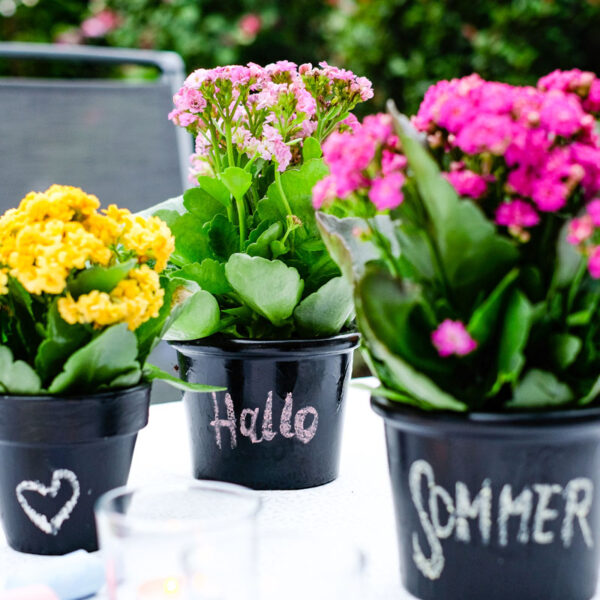 waseigenes.com - Food & DIY Blog und dazwischen das Leben