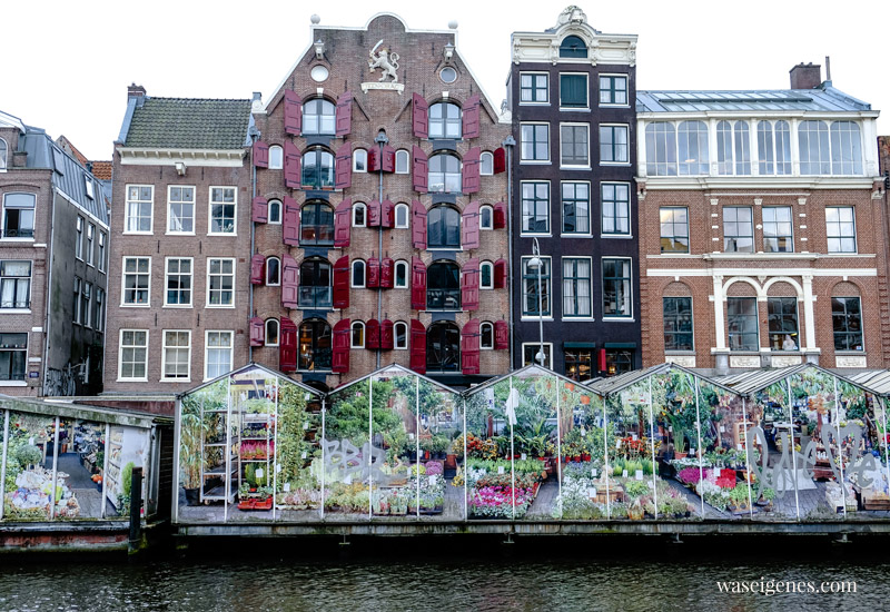 Ein Herbsttag in Amsterdam | Familienurlaub | Tagesausflug | Blumenmarkt | Holland | waseigenes.com