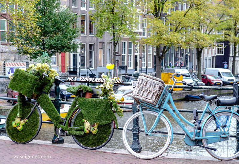 Ein Herbsttag in Amsterdam | Familienurlaub | Tagesausflug  | Holland | waseigenes.com