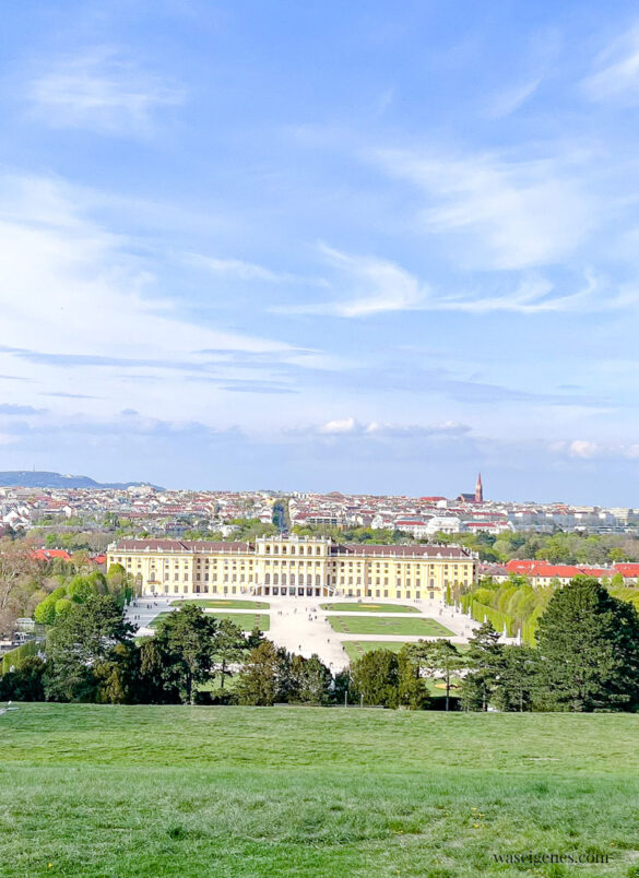 Städtereise nach Wien {Familienurlaub, Sightseeing} - waseigenes.com | Schönbrunn