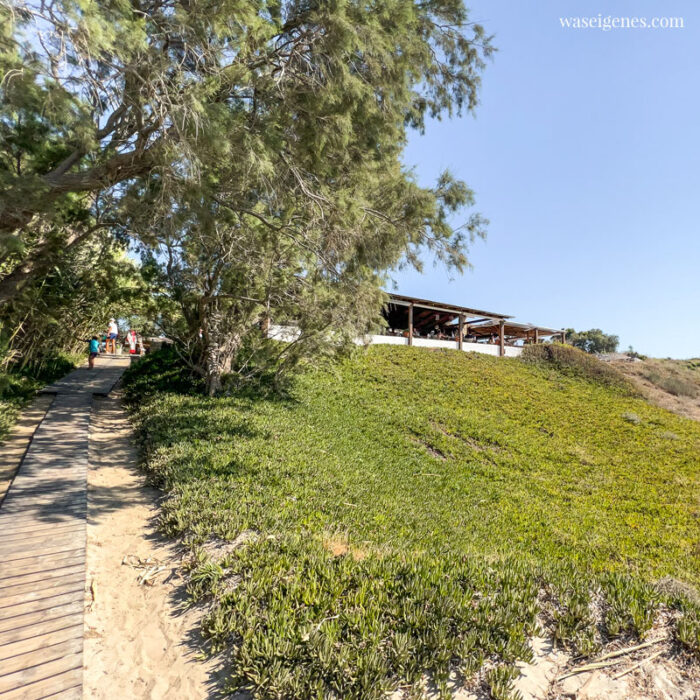 Sommersalat mit getrockneten Feigen &amp; Balsamico-Honig-Dressing