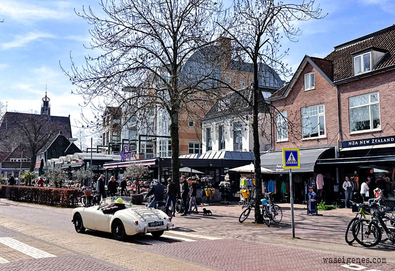 Bergen | Gemeinde in Noord-Holland | waseigenes.com |  Kurztripp & Familienausflug, hübsche Städte in den Niederlanden 