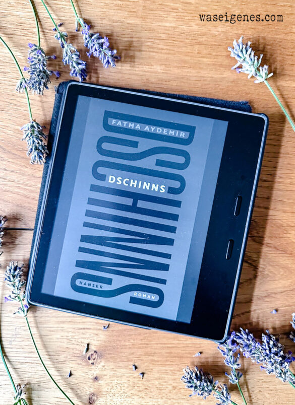 Buchtipp: Dschinns von Fatma Aydemir | waseigenes.com