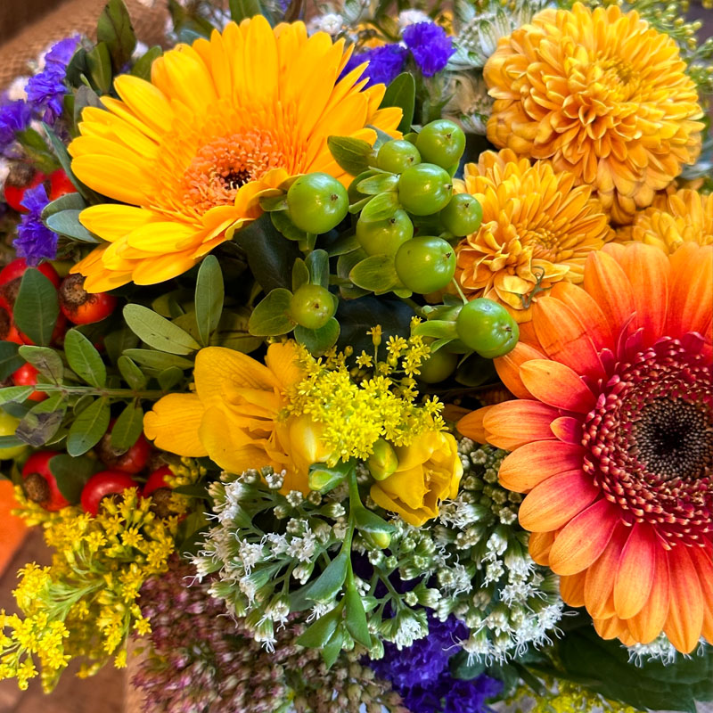 Das war mein Oktober 2023 - Monatsrückblick, waseigenes.com - Herbst Blumen