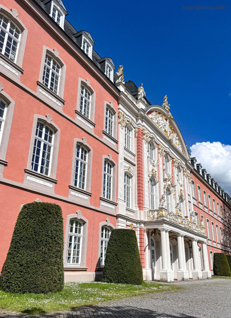 Ein Wochenende in Trier! Von der Porta Nigra über den Kornmarkt und Petrisberg zum Trierer Dom | waseigenes.com