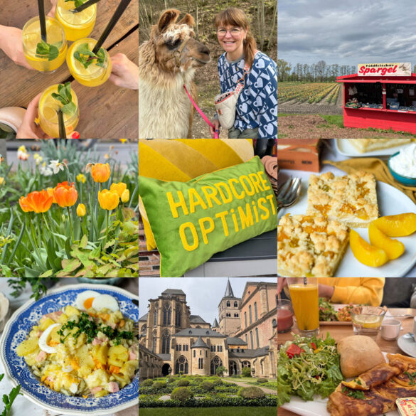 Das war mein April - Monatsrückblick! Himmel und Kölle, Alpaka Tour in der Eifel, Trier und Chor, Seniorenkaffee und Abba Mania, waseigenes.com