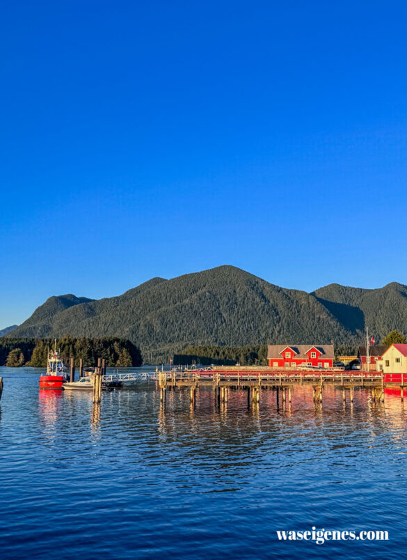 Tofino - Vancouver Island in British Columbia, Kanada - entspannte Stadt für Surfer, Wanderer & Camper, Regenwald & Pazifischer Ozean | waseigenes.com |