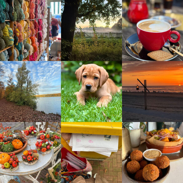Das war mein Oktober | Monatsrückblick | Blog Kolumne | waseigenes.com