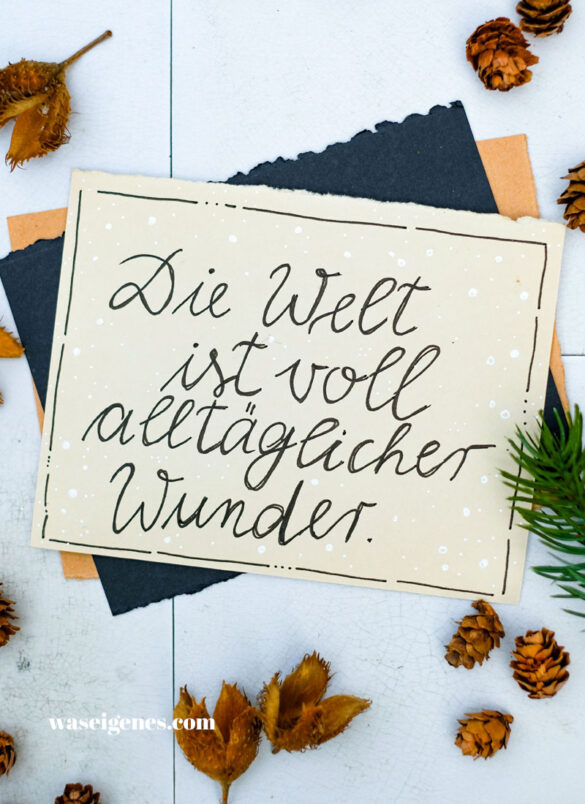 Adventskalender der guten Gedanken 2024 - Türchen Nr. 16 | waseigenes.com | Die Welt ist voll alltäglicher Wunder.