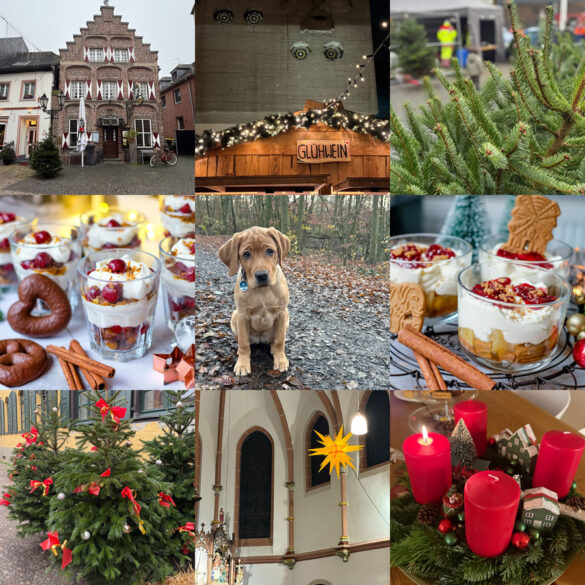 Monatsrückblick Dezember 2024, waseigenes.com