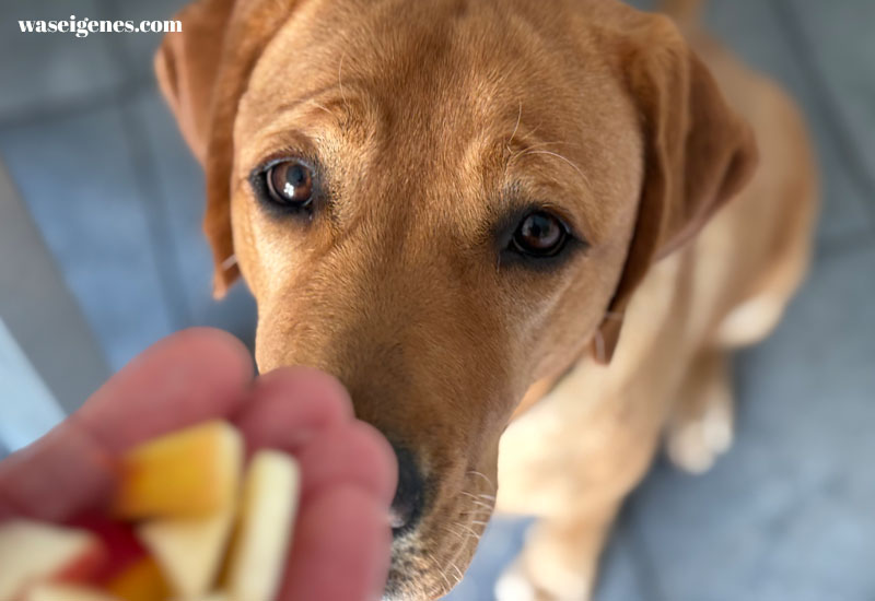 12 von 12 im August 2025 | Mein Tag in Bildern