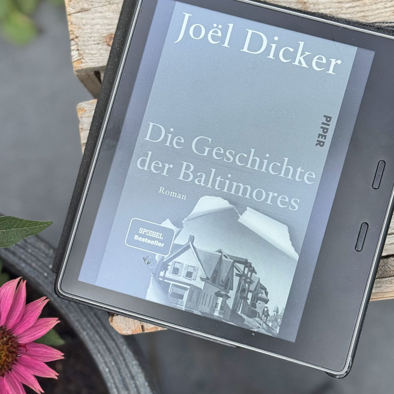 Buchtipp: Die Geschichte der Baltimores | waseigenes.com