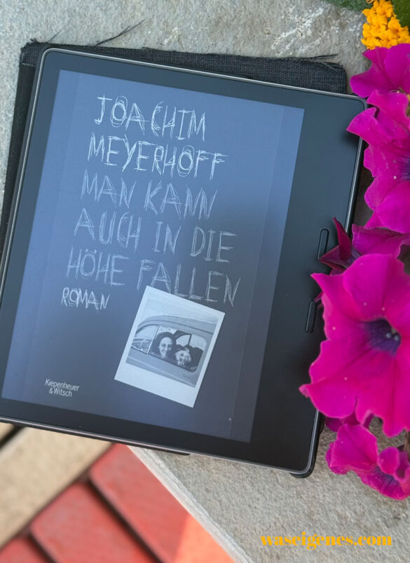 Buchtipp: Man kann auch in die Höhe fallen von Joachim Meyerhoff | waseigenes.com