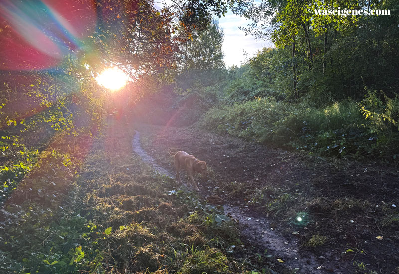 12 von 12 im September 2025 | waseigenes.com | Mein Tag in Bildern