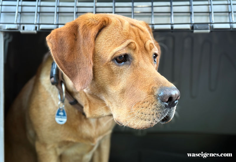 12 von 12 im September 2025 | waseigenes.com | Mein Tag in Bildern