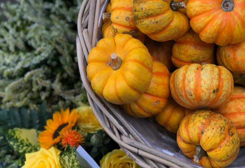 Kürbisliebe hoch 3 – Suppe, Pasta & Lasagne - 3 tolle Hokkaido Rezepte | waseigenes.com