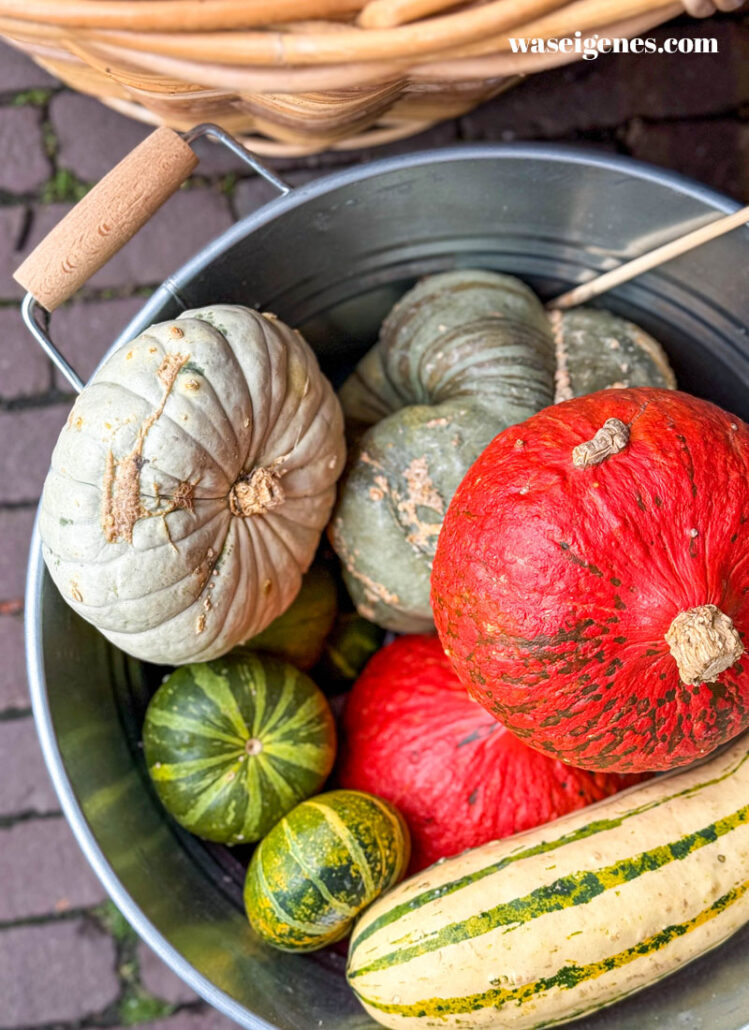 Leiden - Grachtenstadt in Südholland, waseigenes.com