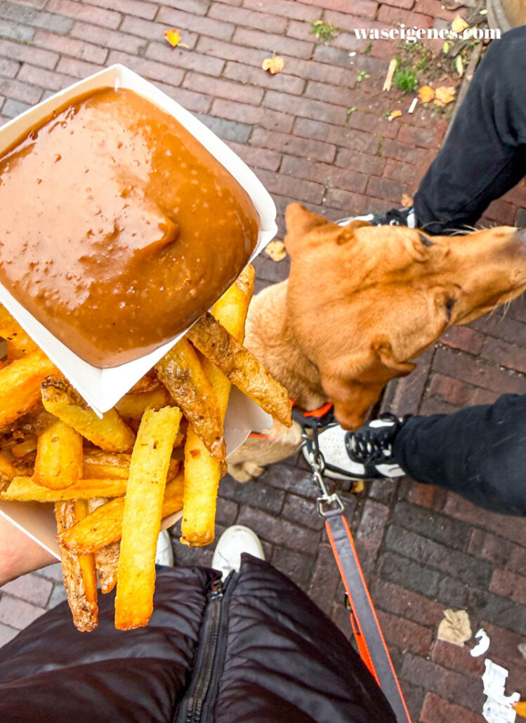 Leiden - Dapp, De lekkerste biologische friet van Nederland | waseigenes.com | Leiden Tipps