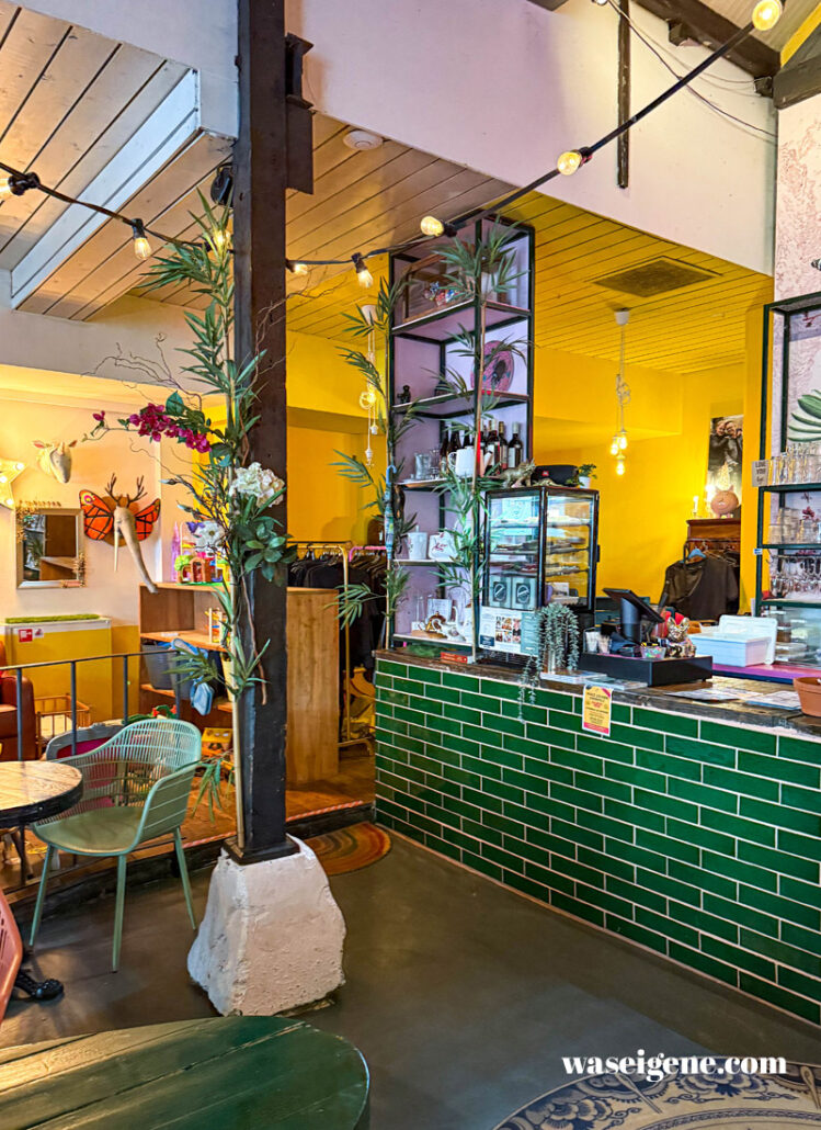 Café Brownies & downieS in Alkmaar | waseigenes.com