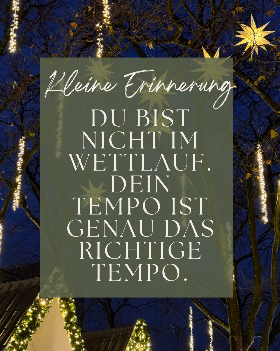 Wohlfühö-Adventskalender Dezembermomente - Du bist nicht im Wettlauf.
Dein Tempo ist genau
das richtige Tempo.