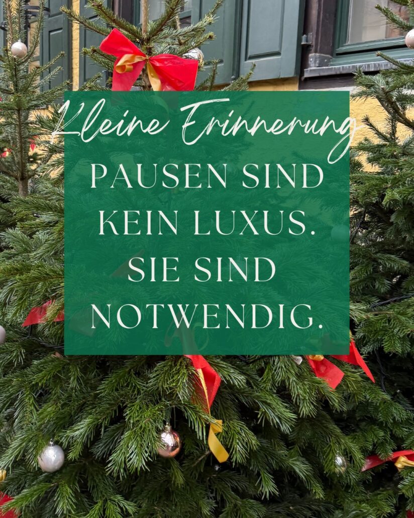 Dezembermomente ~ Ein kleiner Stern pro Tag – für gute Gefühle, Achtsamkeit & Wärme im Advent.
Pausen sind kein Luxus.
Sie sind notwenig.