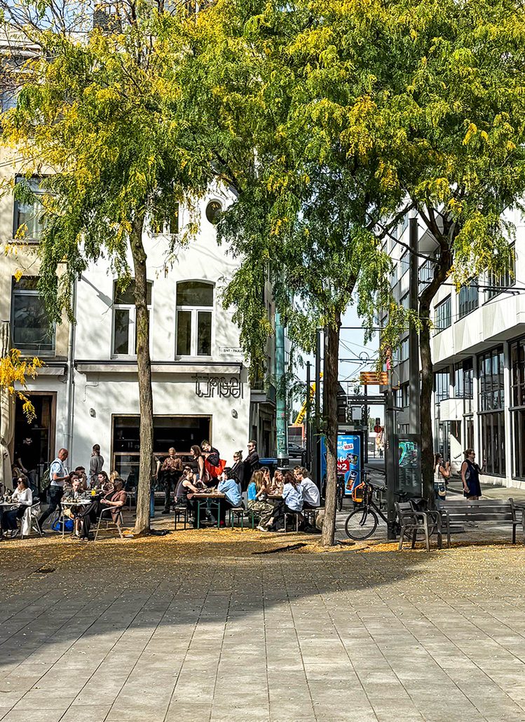 Ein Wochenende in Antwerpen, Altstadt, Liebfrauenkathedrale und beste Aussicht vom MAS - meine Tipps, waseigenes.com
